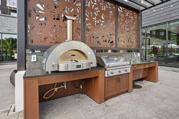 Grills and picnic area at The Mera in St. Louis Park, 55426